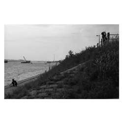 dailyPhoto29